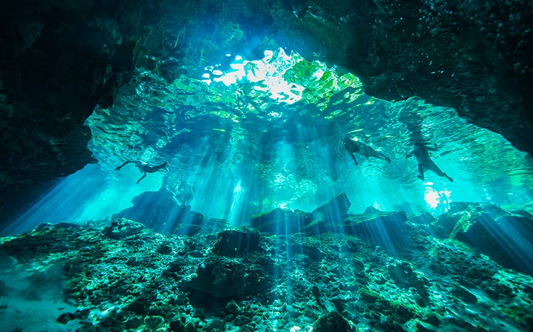 مشهد تحت الماء مضاء بأشعة ضوئية تسطع في الماء (تشغيل الفيديو).