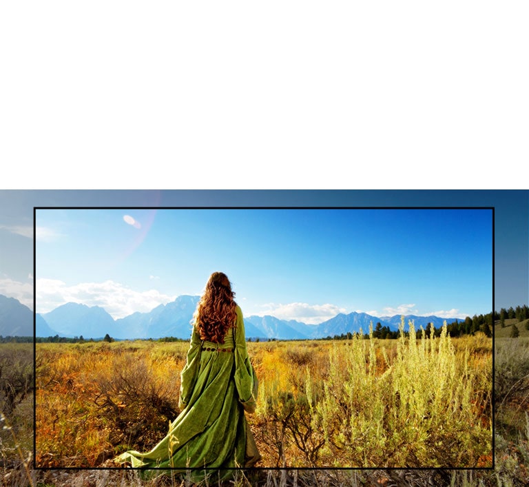 شاشة لتلفزيون يعرض أحد المشاهد من فيلم خيالي تظهر فيه امرأة تقف في الحقول المواجهة للجبال.