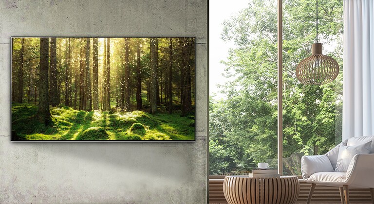 شاشة تلفاز كبيرة مسطحة مثبتة على جدار رمادي بجوار نافذة ممتدة من الأرض حتى السقف وأثاث خشبي طبيعي. تُظهر الشاشة مشهدًا في الغابة يتألق فيه الضوء عبر الأشجار. 