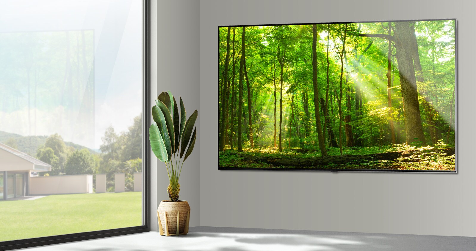 تلفاز بشاشة مسطحة كبيرة مثبتة على جدار رمادي بجوار نافذة كبيرة ممتدة من الأرض حتى السقف.  تُظهر الشاشة مشهدًا في الغابة يتألق فيه الضوء عبر الأشجار. 