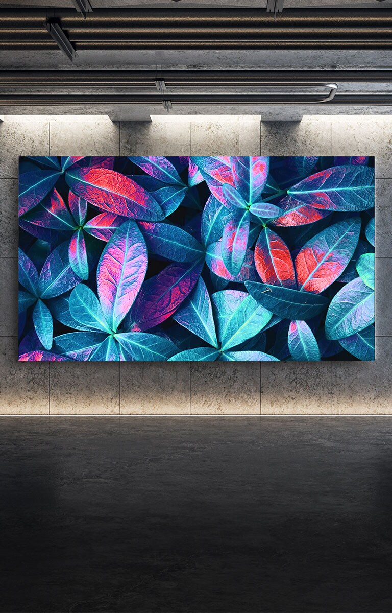 تلفزيون QNED Mini LED من إل جي مثبت على جدار رمادي. تعرض الشاشة لقطة مقرّبة لأوراق نباتات كبيرة بألوان مختلفة تشمل الأخضر والأزرق والأحمر.
