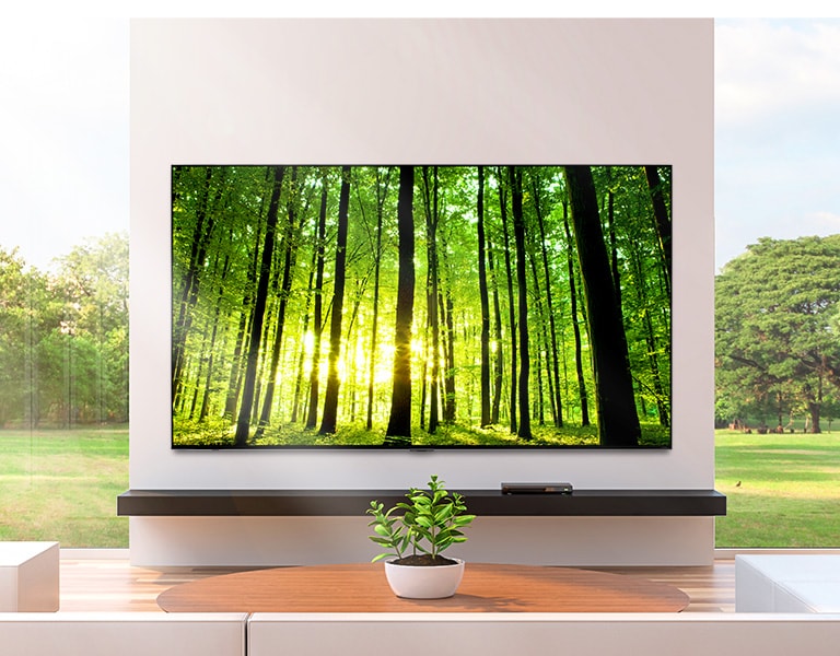تلفزيون بشاشة مسطحة كبيرة مثبت على الجدار أمام نوافذ ممتدة من الأرض حتى السقف. نبتة صغيرة موضوعة على طاولة القهوة أمام التلفزيون.