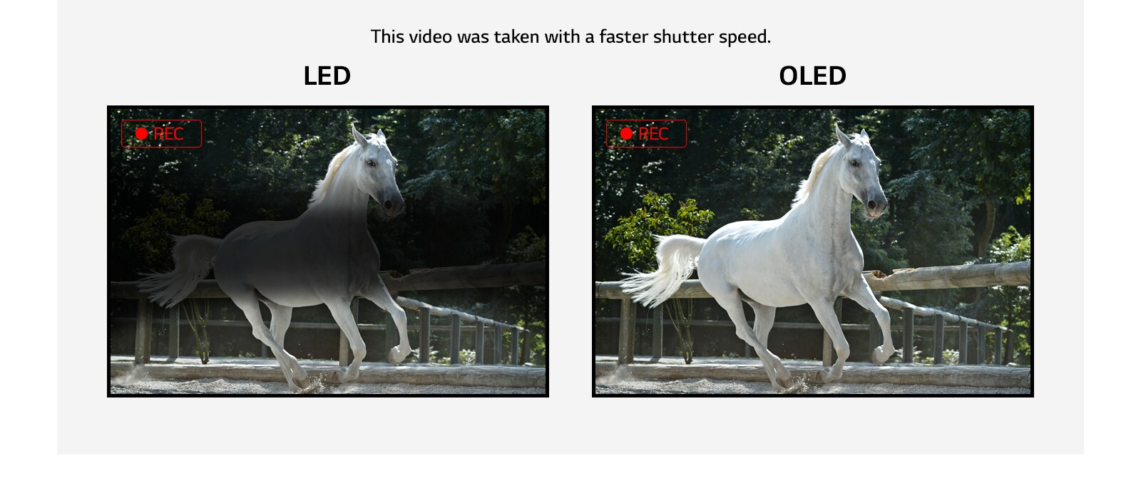 مقارنة بين وميض شاشات LED التي تصدر بعض الوميض وشاشات OLED الخالية من الوميض أثناء عرض فيديو لحصان أبيض أثناء انطلاقه. (تشغيل الفيديو)