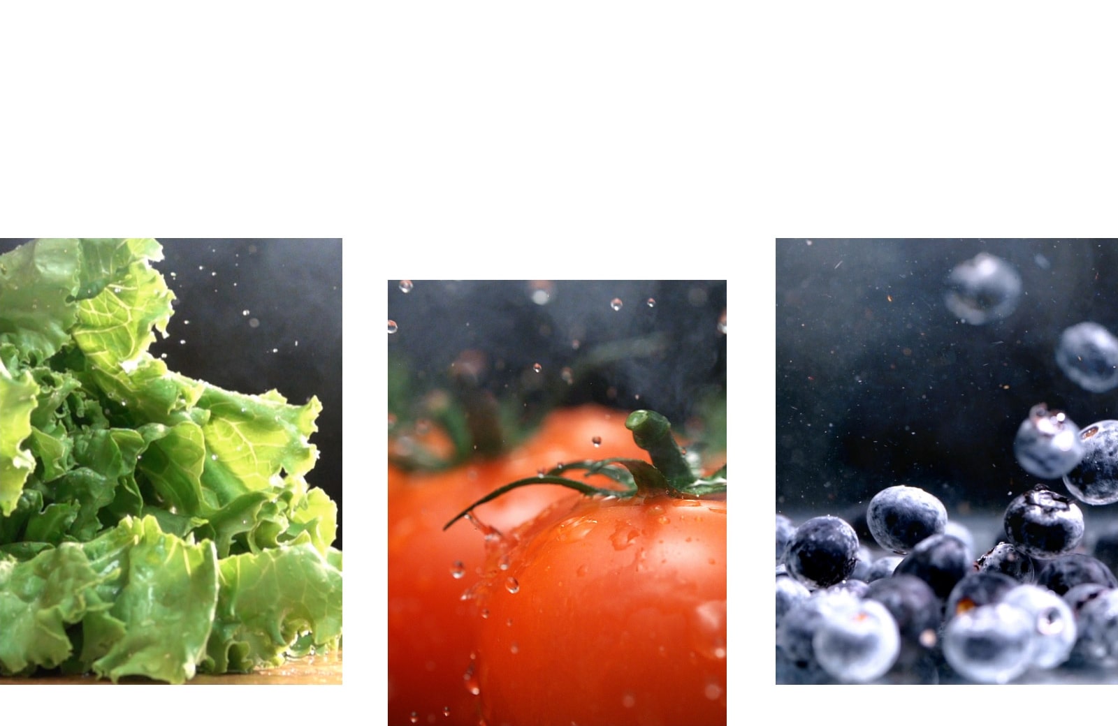صورة لخس أخضر طازج بجوار صورة لطماطم حمراء طازجة وصورة التوت الأزرق اللامع.