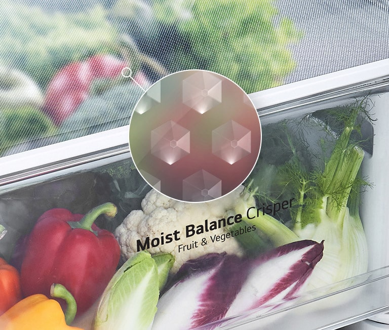 REF-Thor-Larder-Silver-04-MoistBalanceCrisper-M