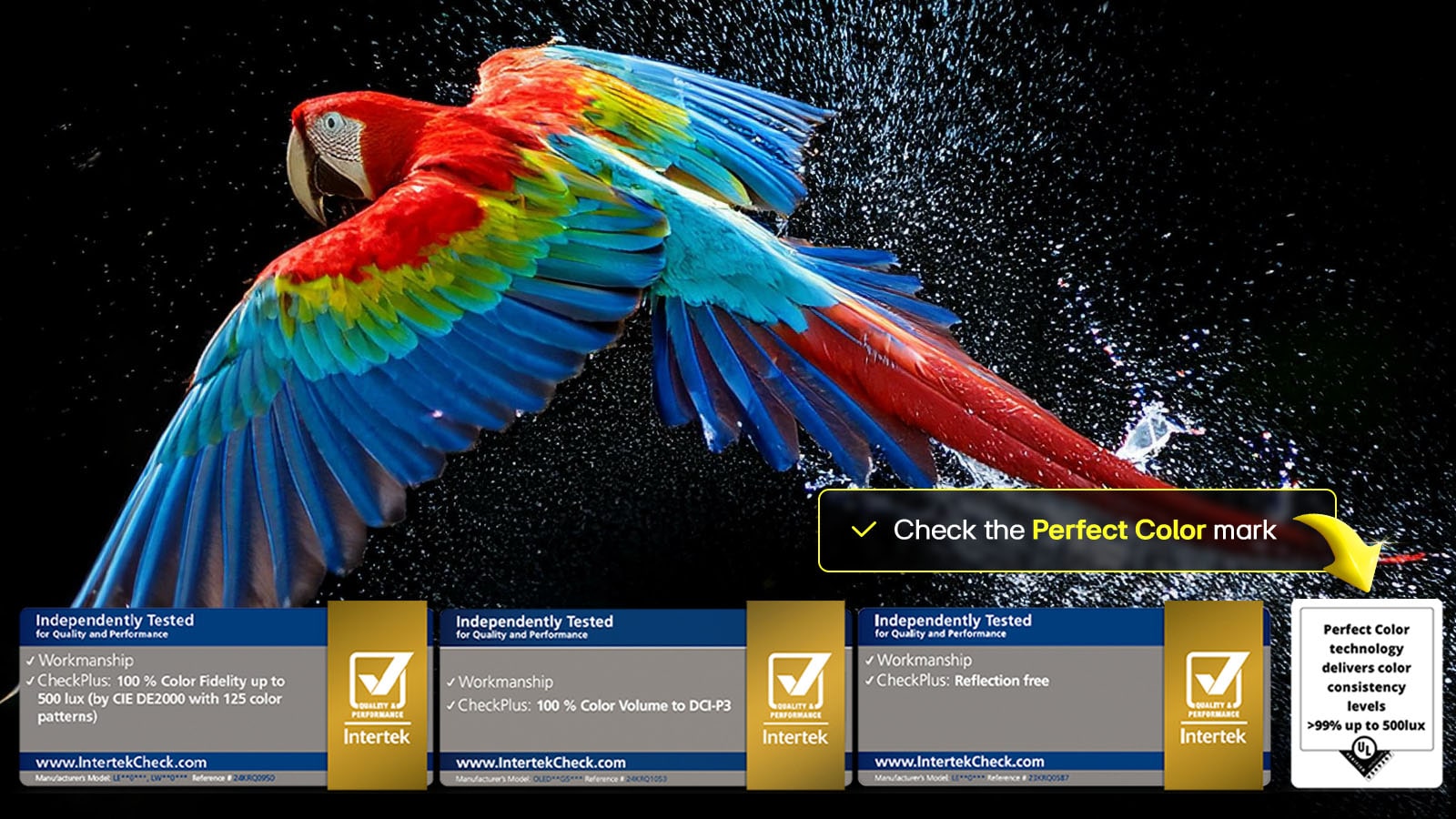 oled-g5-2025-06-feature-perfect-color-d