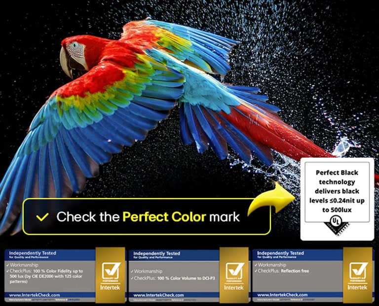 oled-g5-2025-06-feature-perfect-color-m
