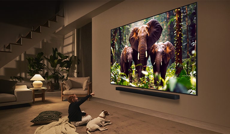 qned-qned85-2025-14-feature-ultra-big-tv-m
