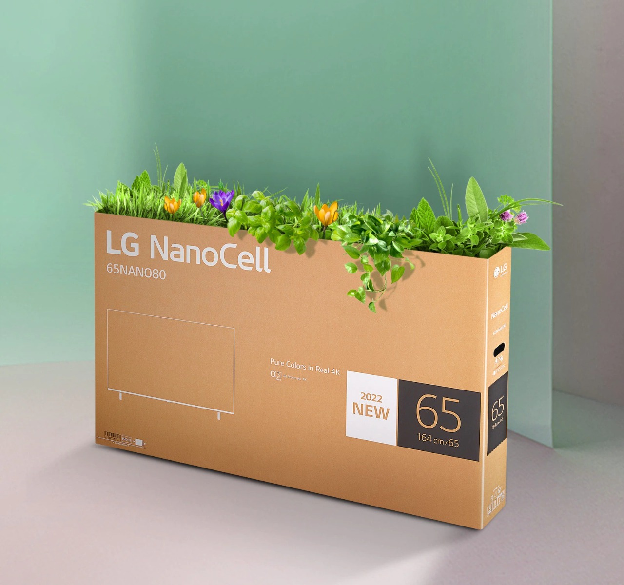tv-nanocell-10-eco-packaging-des