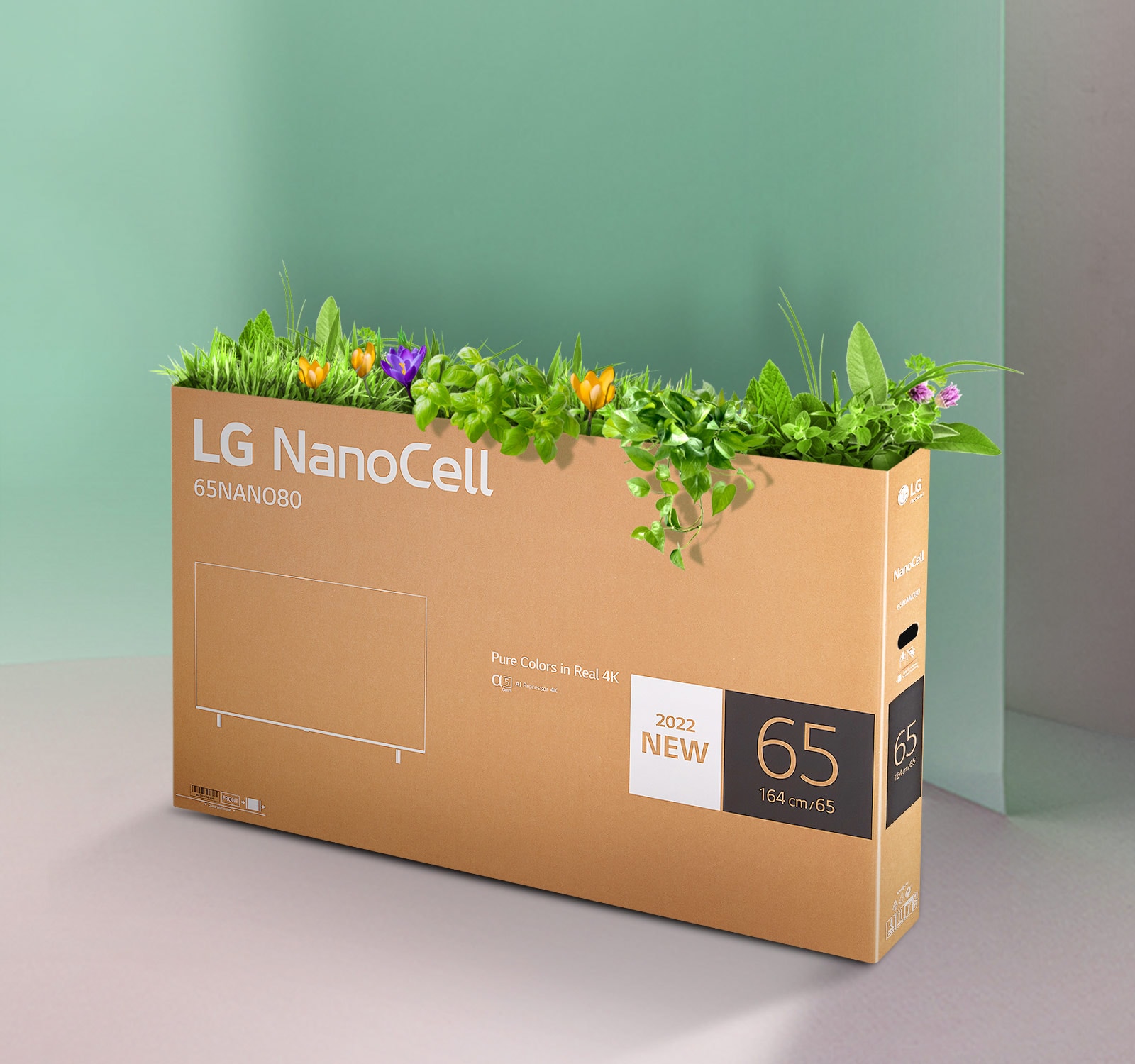 tv-nanocell-10-eco-packaging-desktop