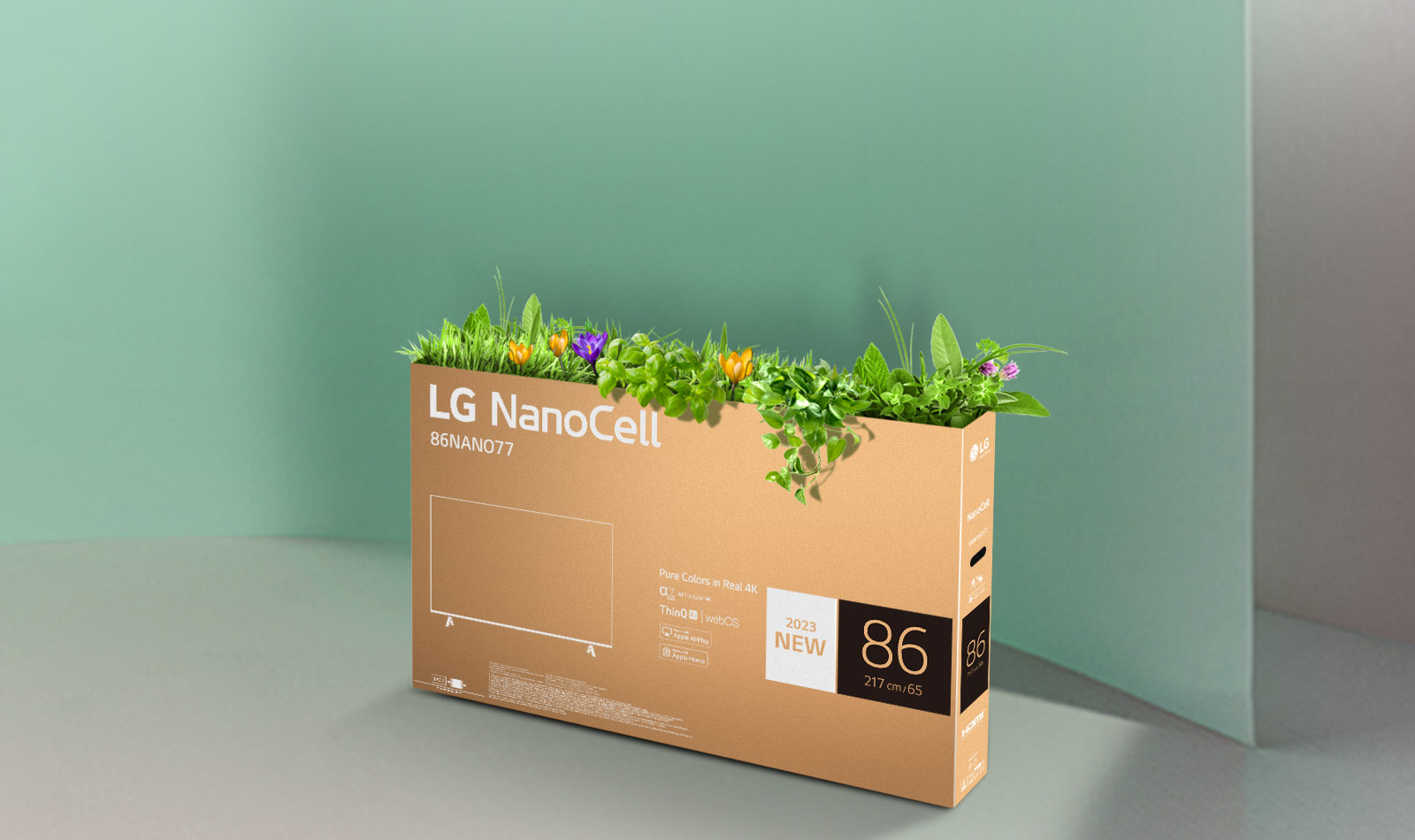 tv-nanocell-16-eco-packaging-desktop